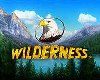 Wilderness